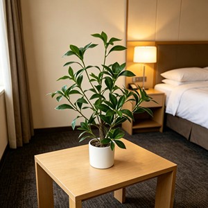 Ma Zui Mu High-End <b>Artificial</b> <b>Tree</b> for Living Room Floor - Product Image 5