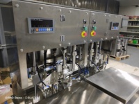 Machine de remplissage semi-automatique à double tête pour sacs Bag-in-Box en acier inoxydable 304, idéale pour le ketchup, la liquide d'œuf et les sauces, facile à utiliser