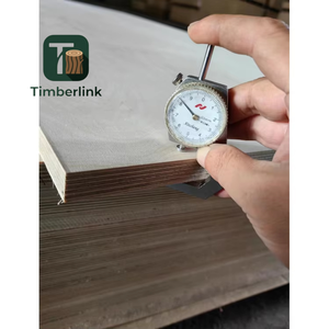 E0 3mm 4mm 5mm 12mm 15mm 18mm bianco baltico <span class=keywords><strong>pioppo</strong></span> <span class=keywords><strong>di</strong></span> betulla pino foglio <span class=keywords><strong>di</strong></span> compensato <span class=keywords><strong>di</strong></span> compensato <span class=keywords><strong>di</strong></span> compensato <span class=keywords><strong>di</strong></span> betulla baltica compensato - Product Image 6