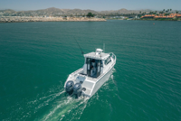 Bateau de pêche familial SeaKing High Speed Profisher 7,5 m (25 pieds) en aluminium avec cabine