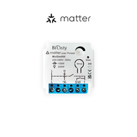 Interrupteur intelligent à intensité variable pour l'éclairage des appareils de la maison intelligente Matter