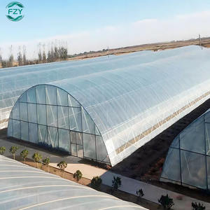 Grand tunnel, <span class=keywords><strong>fraise</strong></span>, champignon industriel, culture de légumes, serre agricole à travée unique préfabriquée, cadre à vendre - Product Image 5