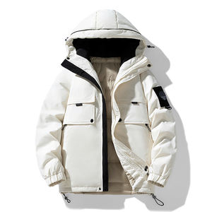 Veste à capuche pour homme, nouvelle collection hiver, logo personnalisé, version coréenne, mode streetwear, coupe fluide, veste de travail confortable - Product Image 1