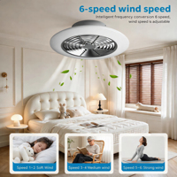 Ventilateur de plafond électrique moderne de 20 pouces avec kit d'éclairage LED, télécommande, 6 vitesses, OEM personnalisé pour les commandes en gros