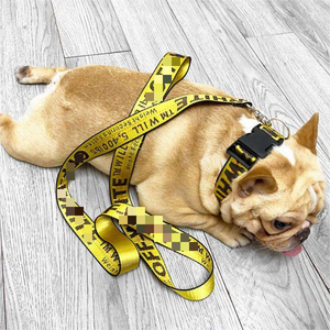 <span class=keywords><strong>Top</strong></span> Brand Designer Weißes Nylon Hunde geschirr Set Gestreiftes Luxus-Haustier halsband mit strap azier fähiger Hunde leine für Spaziergänge im Freien - Product Image 3