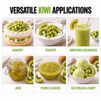 Premium bulk groothandel IQF diepvries kiwi's voor bakkerij, dessert en smoothie