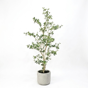 OH ARTS Arbre d'olivier artificiel haut de gamme, réaliste, type Faux Shady Lady Black Olive, en <span class=keywords><strong>pot</strong></span>, avec des branches délicates, pour un style Zen Nordique - Product Image 1