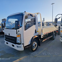 Camion utilitaire Sinotruk HOWO 4X2 4-5T de fabrication chinoise, 116 ch, Euro 3, diesel, camion à vendre