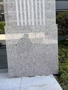 <span class=keywords><strong>Granito</strong></span> <span class=keywords><strong>Ojo</strong></span> de Águila Azul, Piedra Natural con Base Clara y Motas Azules, Encimeras de Cocina Modernas y Ecológicas, Decoración Exterior/Paisajismo - Product Image 2