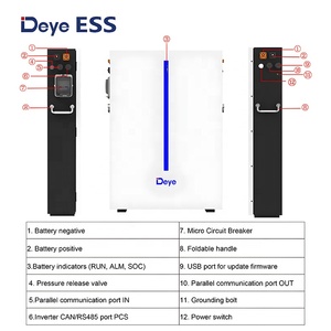 Batterie lithium LiFePO4 Deye 6,14 kWh 51,2 V à montage mural, cycle profond, max. 32 unités en parallèle pour système solaire domestique - Product Image 2
