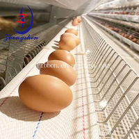 Nouvelle Ceinture de Collecte d'Œufs en PP Durable avec Faible Taux de Bris pour les Élevages de Poules Pondeuses Solution Automatique de Transport d'Œufs