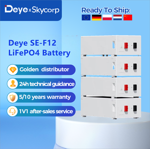Deye-Sistema de almacenamiento de energía solar LiFePO4 51,2 V 230A 11.8kWh, sistema de almacenamiento de energía solar, paquete de batería con comunicación CAN montada en la pared - Product Image 2
