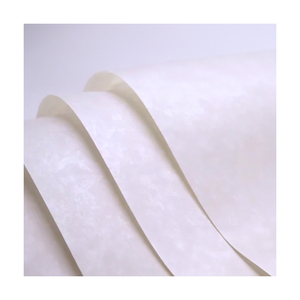 2025 Matériau isolant de classe C de qualité supérieure Papier isolant Nomex T410 à haute résistance mécanique et durabilité - Product Image 2