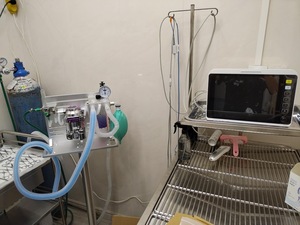 Máquina de anestesia <span class=keywords><strong>veterinaria</strong></span> de alta gama MT Medical para animales grandes para zoológico - Product Image 5