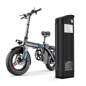 Silver Fish 48V 20Ah Lithium Ion Battery 48V BMS Pack avec chargeur 1500W pour 250W 400W E-Bike Scooter Bicycle - Product Image 2