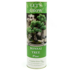 <span class=keywords><strong>Kit</strong></span> Completo de Bonsái al por Mayor de Fábrica, Cultiva tu Propio Bonsái de Chile y Cactus para Jardín Exterior, Ideal para Principiantes y Profesionales, para Regalar - Product Image 3