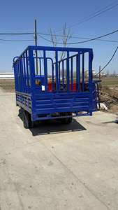 Nuevo Estilo Triciclo de 250cc para Pasajeros y Carga Motocicleta de Tres Ruedas a Gasolina - Product Image 5