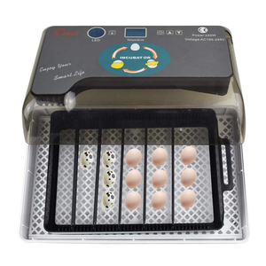 Incubateur intelligent 40W pour 12 œufs de canaris, cailles, oiseaux et reptiles - Product Image 4