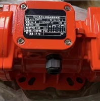 YZH-Serie Vibrationsmotor Industrieller Vibrationsmotor für Vibrationssiebe Betonvibrator-Ausrüstung