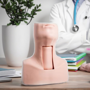 GD/J58 PVC Traqueostomia Simulator Model for Medical Science for Suturing Practice - Product Image 6