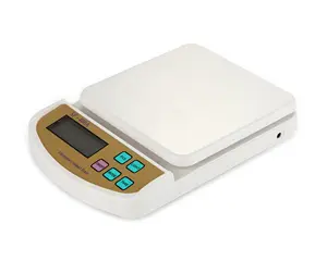 5kg 10kg Food Weight Scale Custom All Plastic Hot Selling Kitchen Scale