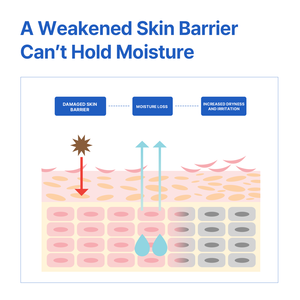 AVCA Aqua - Crema Hidratante Diaria con Ácido Hialurónico 200ml, Crema con Ceramidas para Reforzar la Barrera Cutánea, para Todo Tipo de Piel, Textura Ligera y Rica - Product Image 5