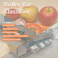 Automatische fruit- en groentegraffinetteermachine met rollen