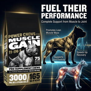 Friandises à mâcher riches en protéines pour la croissance musculaire des chiens, supplément d'acides aminés, constructeur musculaire, soins de santé pour animaux de compagnie, multivitamines et probiotiques pour chats - Product Image 4