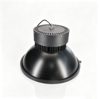 Reflector LED Impermeable IP65 con Ángulo Ajustable, Cuerpo de Aluminio, Color OEM Disponible