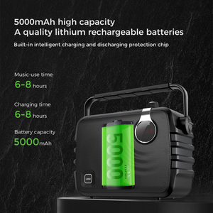 Loa karaoke với 2 UHF Micro không dây, hệ thống Loa bluetooth di động cho bữa tiệc gia đình, đám cưới, Nhà thờ, dã ngoại - Product Image 5