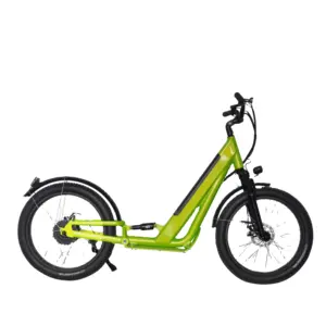 Lohas Novel Design Commute Escooter City Work Modern Style 750w Electric Scooter Long Distance 24'' Fat Tire E Scooter Legal