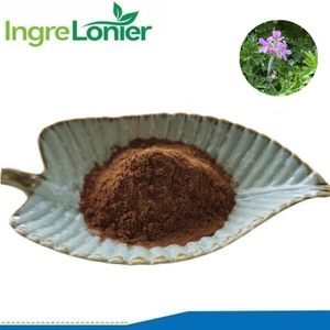 Mejor Precio de calidad alimentaria 5:1,10:1,15:1,20:1 Pelargonium suplemento Pelargonium <span class=keywords><strong>Sidoides</strong></span> extracto en polvo a granel - Product Image 2