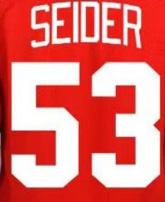 Camisetas de Hockey de Equipos Estadounidenses Cosidas, Detroit 24 Probert, 39 Mantha, 53 Moritz Seider, 57 Perro, 59 Bertuzzi, 71 Dylan Larkin - Product Image 3