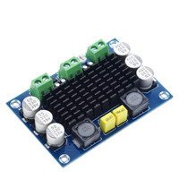 Carte d'amplification Audio numérique, RDS électronique, TPA3116 D2 TPA3116DA DC 12V 24V 100W, Mono canal
