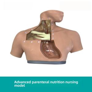 Manekin pengajaran medis canggih untuk Model anatomi perawatan nutrisi Parenteral untuk latihan injeksi dalam simulasi perawatan - Product Image 2