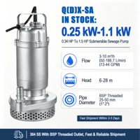 Pompe submersible mini Q(D)X-SA 304 SS basse pression OEM 10 bars, sortie filetée, eau propre, impeller fermé