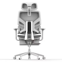 Chaise de bureau ergonomique pivotante de qualité supérieure avec dossier réglable en métal moderne, dossier en maille et repose-pieds
