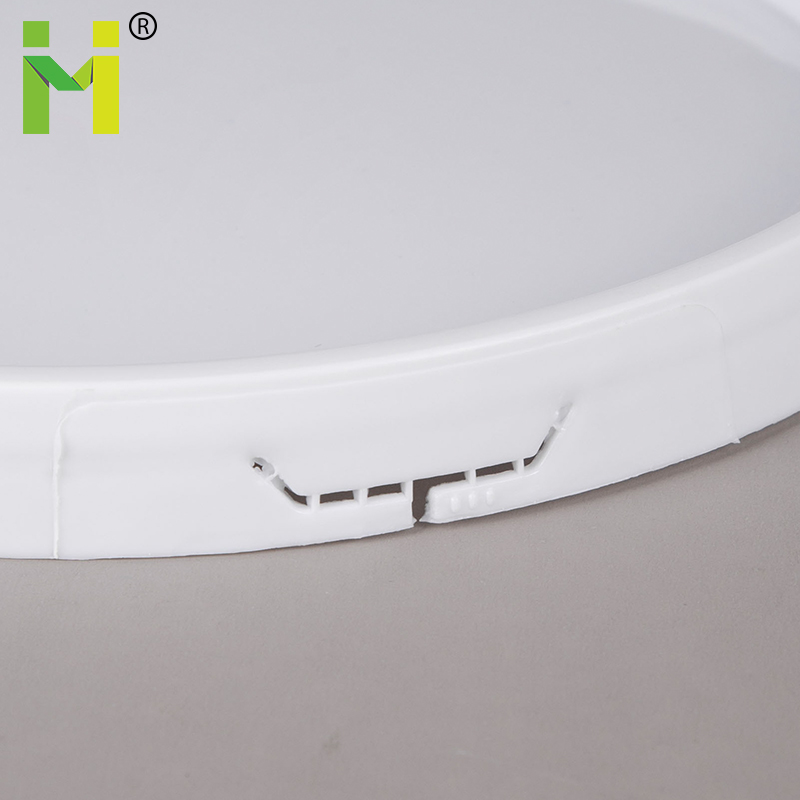 ficus plan 1 gallon fotos