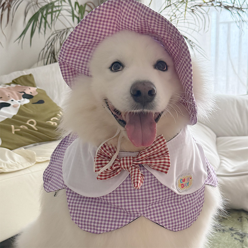 Chapeau à carreaux violet