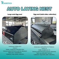 Sistema Comercial Automático de Nidificación y Recolección de Huevos, Equipo de Suelo para Cría de Aves de Corral para Críares, para Ganadería