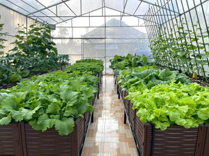 Large Capacity Modular PP <b>Plastic</b> Raised Garden Bed <b>Planter</b> Box Patio Balcony Vegetable Flower Growing UV Resistant Easy Install - Product Image 2