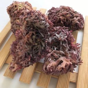 Gelidio natural, suministro de fábrica, N11, gran oferta, precio barato - Product Image 4