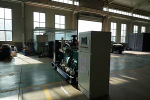 8kW प्राकृतिक गैस विकल्प के साथ 80kW प्राकृतिक जनरेटर सेट वीचप कम उत्सर्जन निर्माता आपूर्ति - Product Image 6