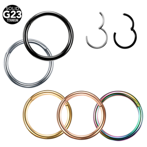 10 pcs/lot titane articulé Segment nez anneaux mamelon Clicker oreille Cartilage Tragus hélice lèvre Piercing pour unisexe bijoux 16G & 14G - Product Image 6