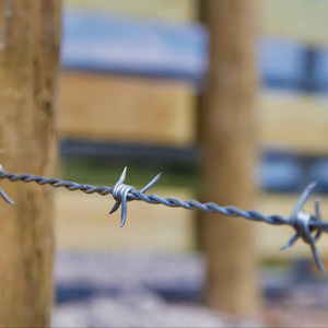 Filo Spinato per Stazioni di Servizio/Sottostazioni/Stazioni di Comunicazione per Prevenire Danni da Parte Umana a Materiali Infiammabili ed Esplosivi - Product Image 4