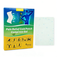 Patch de soulagement de la douleur en gel de haute qualité : pénétration glacée pour un soulagement rapide de la douleur.