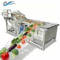 Industriële wasmachine voor fruit, groenten, champignons en aardappelen