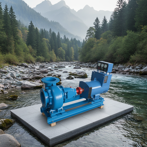 Système de Générateur Hydroélectrique Fluvial 30KW, Hauteur de Refoulement 10M-150M, DMGC-50KVA - Product Image 4