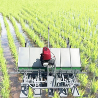 Planteuse de riz de haute qualité industrielle Planteuse de riz/Planteuse de riz Machine de plantation de riz à vendre