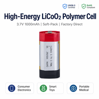 Batterie lithium-ion rechargeable LiCoO2 cylindrique polymère souple personnalisée en usine 3,7 V 1000 mAh 112043